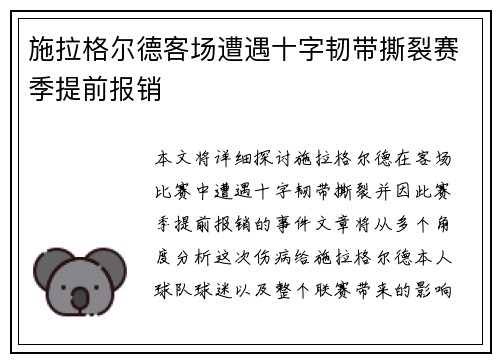 施拉格尔德客场遭遇十字韧带撕裂赛季提前报销